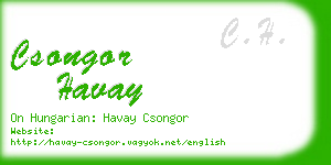 csongor havay business card